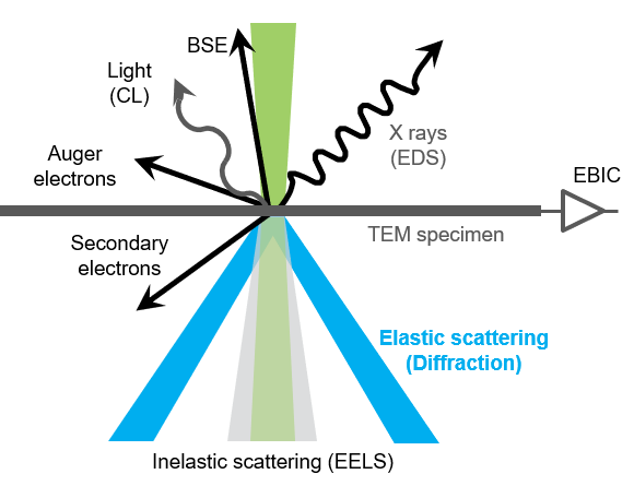 4D STEM | Gatan, Inc.